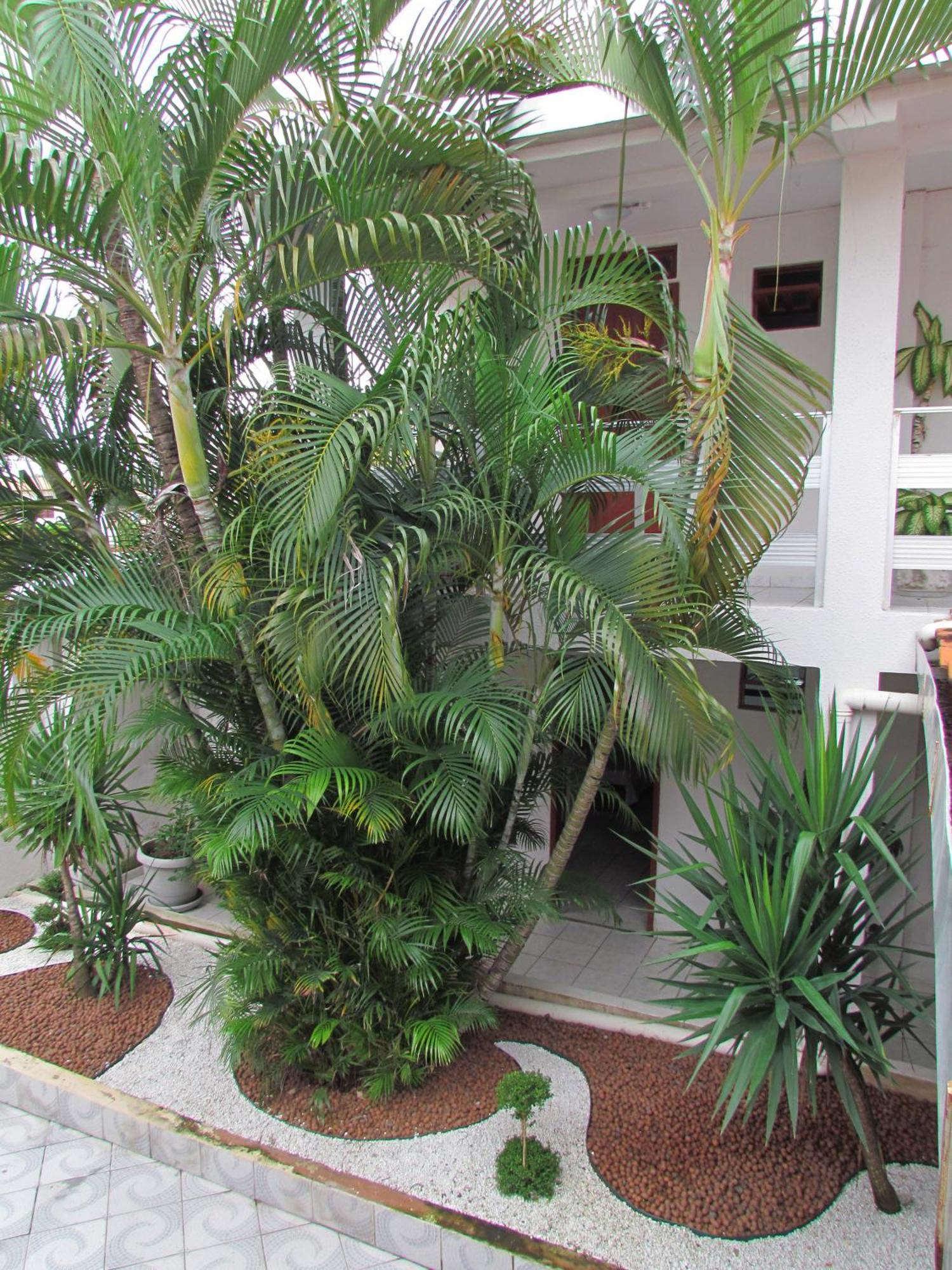 Pousada Nossa Casa Maceió Εξωτερικό φωτογραφία
